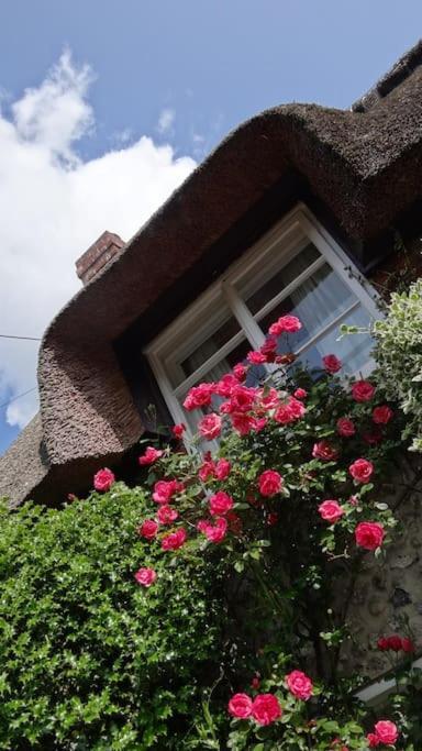 Little Thatch Cottage - Cerne Abbas, Dorset Exterior foto